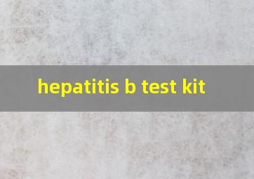  hepatitis b test kit